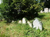 Čeština: Náhrobky na židovském hřbitově ve Zbraslavicích, okres Kutná Hora. English: Gravestones in the Jewish cemetery in Zbraslavice, Kutná Hora District, Central Bohemian Region, Czech Republic.