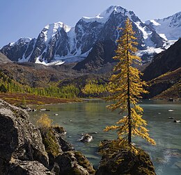 Massif montagneux russe de la Tchouïa du Nord (Altaï). (définition réelle 3 000 × 2 911)