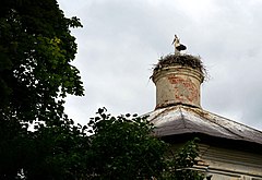 Гнездо аиста на крыше