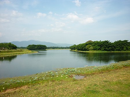 บึงน้ำใส ตะโล๊ะหะลอ - panoramio.jpg