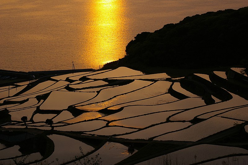 File:土谷棚田 - panoramio.jpg