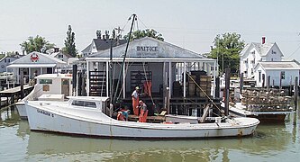 Watermen unloading catch on Tangier Island, Virginia USA