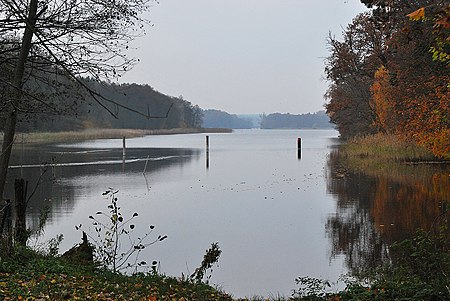 2011 11 04 Molchowsee 111