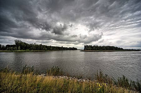 20170625 038 029 040 041 042 Dordrecht Brabantse Biesbosch (35499915671).jpg