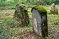 Deutsch: Jüdischer Friedhof beim Dörzbacher Ortsteil Laibach English: Jewish cemetery near Dörzbach-Laibach, Germany