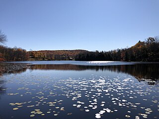 <span class="mw-page-title-main">Little Bowman Pond</span> Body of water