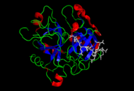crystal structure of thrombin. 2c93.png