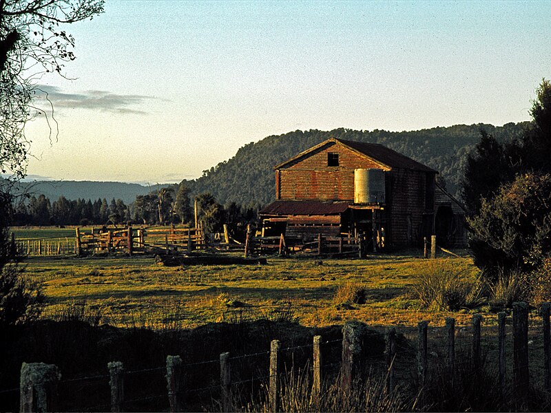 File:421 Fox Glacier, June 1980 (52229027538).jpg