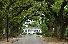 Stewartfield and the Avenue of the Oaks 4307 Old Shell Road Stewartfield 02.JPG