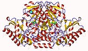 Thumbnail for Succinylornithine transaminase
