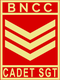 A SGT.png