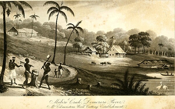 Charles Edmonstone plantation in Demerara, 1834.