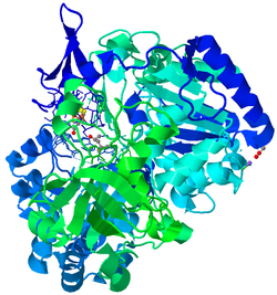 Overall structure of the [4FE-4S] cluster and the tungstoenzyme encompassed in the protein; the protein backbone is dark blue at the N-terminal end and green at the C-terminal end. Acetylene Hydratase from Pelobacter acetylenicus.png