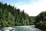 Miniatura para Río Salvaje Alagnak