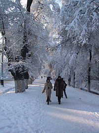 Almaty winter Street.jpg