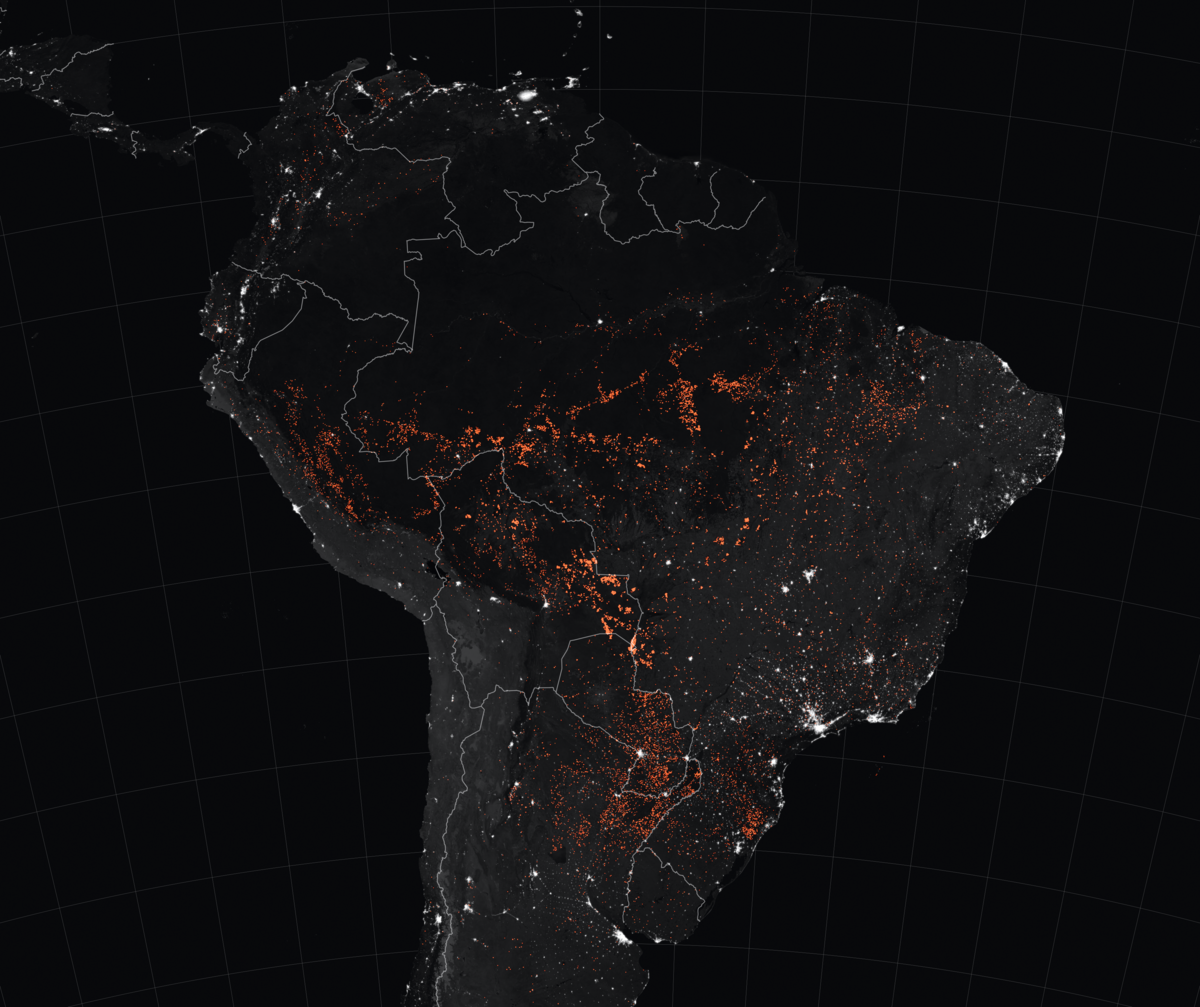 2019年アマゾン熱帯雨林火災 Wikipedia