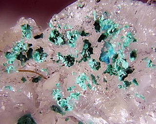 <span class="mw-page-title-main">Ammineite</span>