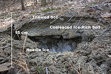 Anatomy of a frost heave during spring thaw. The side of a 6-inch (15-cm) heave with the soil removed to reveal (bottom to top):
Needle ice, which has extruded up from the freezing front through porous soil from a water table below
Coalesced ice-rich soil, which has been subject to freeze-thaw
Thawed soil on top
Photograph taken 21 March 2010 in Norwich, Vermont Anatomy of a Frost Heave.jpg