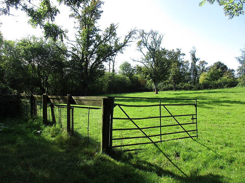 File:Animal pens off Darks Road - geograph.org.uk - 5158603.jpg