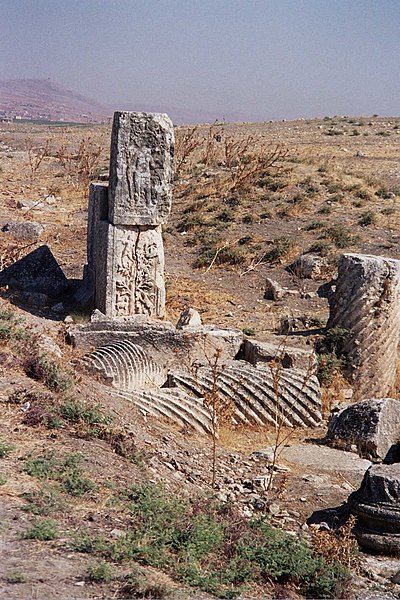 File:Apamea8 (48700894).jpg