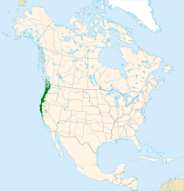 Arbutus menziesii range map.svg