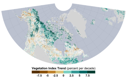 Western Hemisphere Arctic Vegetation Index Trend