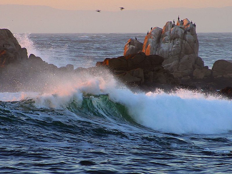 File:Asilomar Beach 2003-10-12.jpg