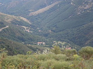 <span class="mw-page-title-main">Astet</span> Commune in Auvergne-Rhône-Alpes, France