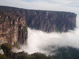 Temperate highland climate without dry season (Cfb) in Auyan Tepui