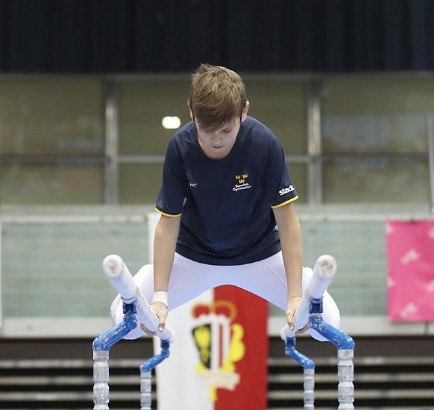 File:Austrian Future Cup 2018-11-23 Training Afternoon Parallel bars (Martin Rulsch) 0918.jpg