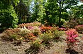 Rhododendronpark Hobbie