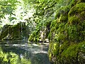 Vorschaubild für Gütersteiner Wasserfall