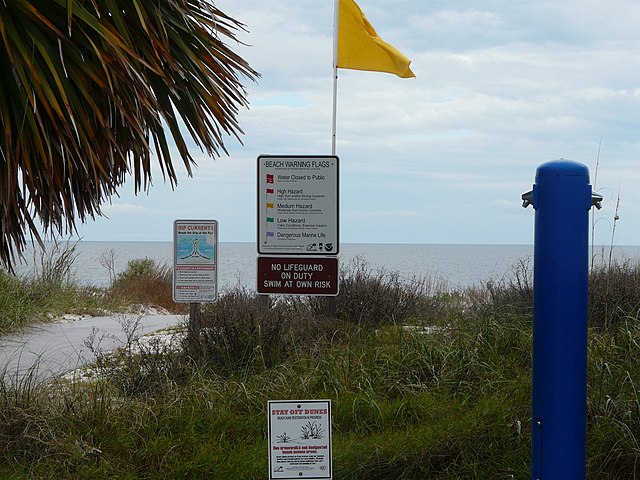 Se puede meter comida en la warner beach