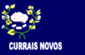 Bandeira curraisnovos rn.png