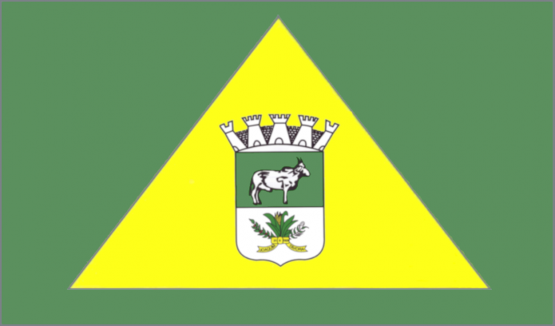 File:Bandeira de Joaquim Távora.png