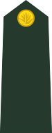 File:Bangladesh-army-OR-1.svg