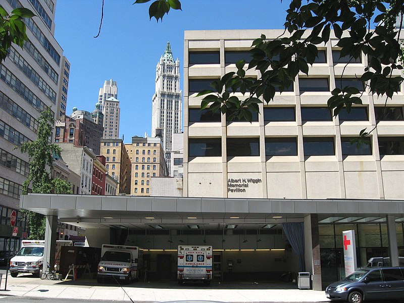 File:Beekman Downtown Hosp jeh.JPG