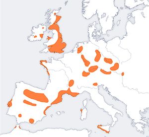 Bellbeaker map europe.jpg