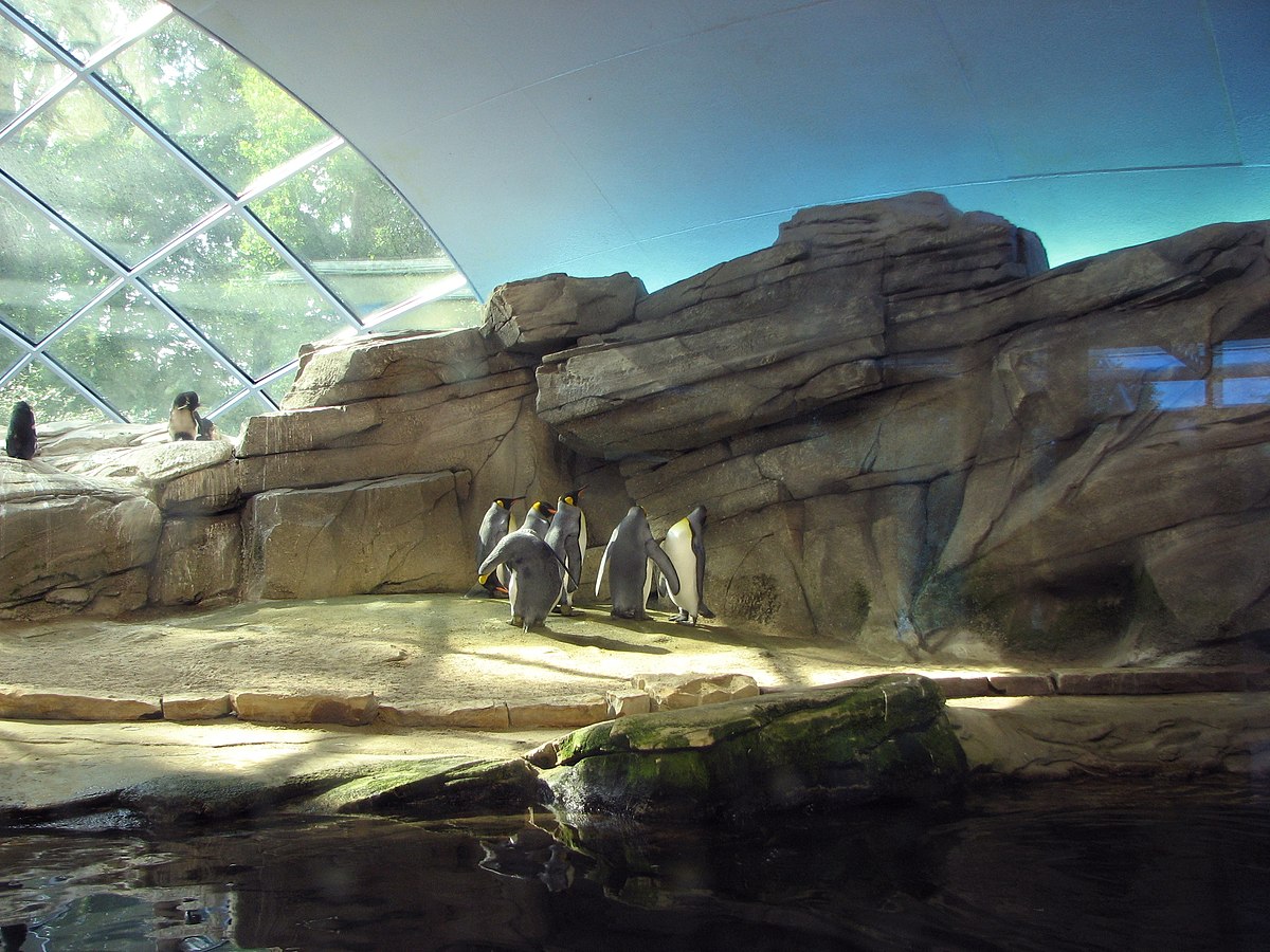 Berlin-zoo-penguinarium.jpg