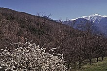 File:Blick_zum_Canigou_(PME0917).jpg