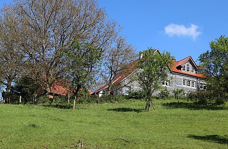 Brachen Solingen 1