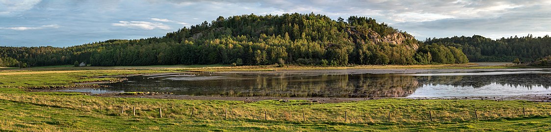 Brattåsberget by Hanneviken with migratory birds in Norrkila, Lysekil