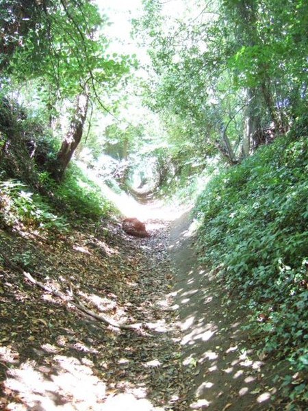 File:Bridleway - geograph.org.uk - 200827.jpg