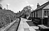 Bryn Teifi station on the Carmarthen–Aberystwyth line in 1962