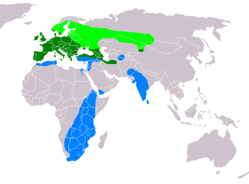 Aria de distribución