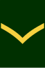 CDN-Army-Pte.svg