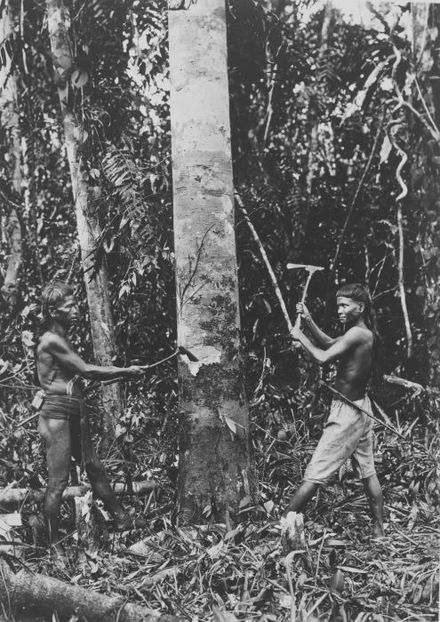 Vaγimba - "ceux de la forêt" en proto-Barito du Sud-Est (ancienne langue austronésienne parlée notamment à Bornéo). Photo Wikicommons : Dayak de Borneo