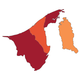 Případy vypuknutí COVID-19 v Bruneji (hustota). Svg