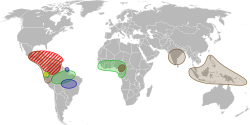 Cacao species - World distribution map -blank.svg