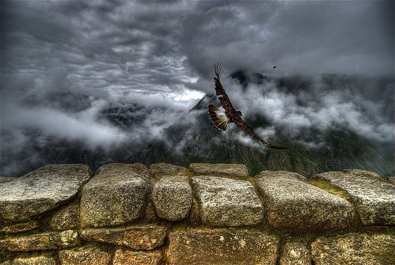 File:Caracara takes off at Machu Picchu-original.jpg